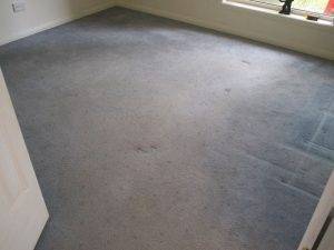 tile wizards carpet renovation 5