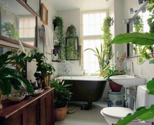 bathroom plants lush
