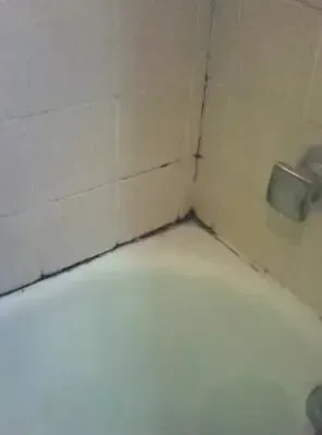 Black mold in bathroom