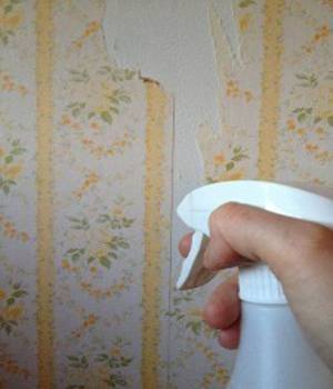 Spraying wallpaper for stripping
