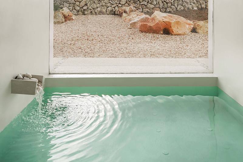 indoor plunge pool designs